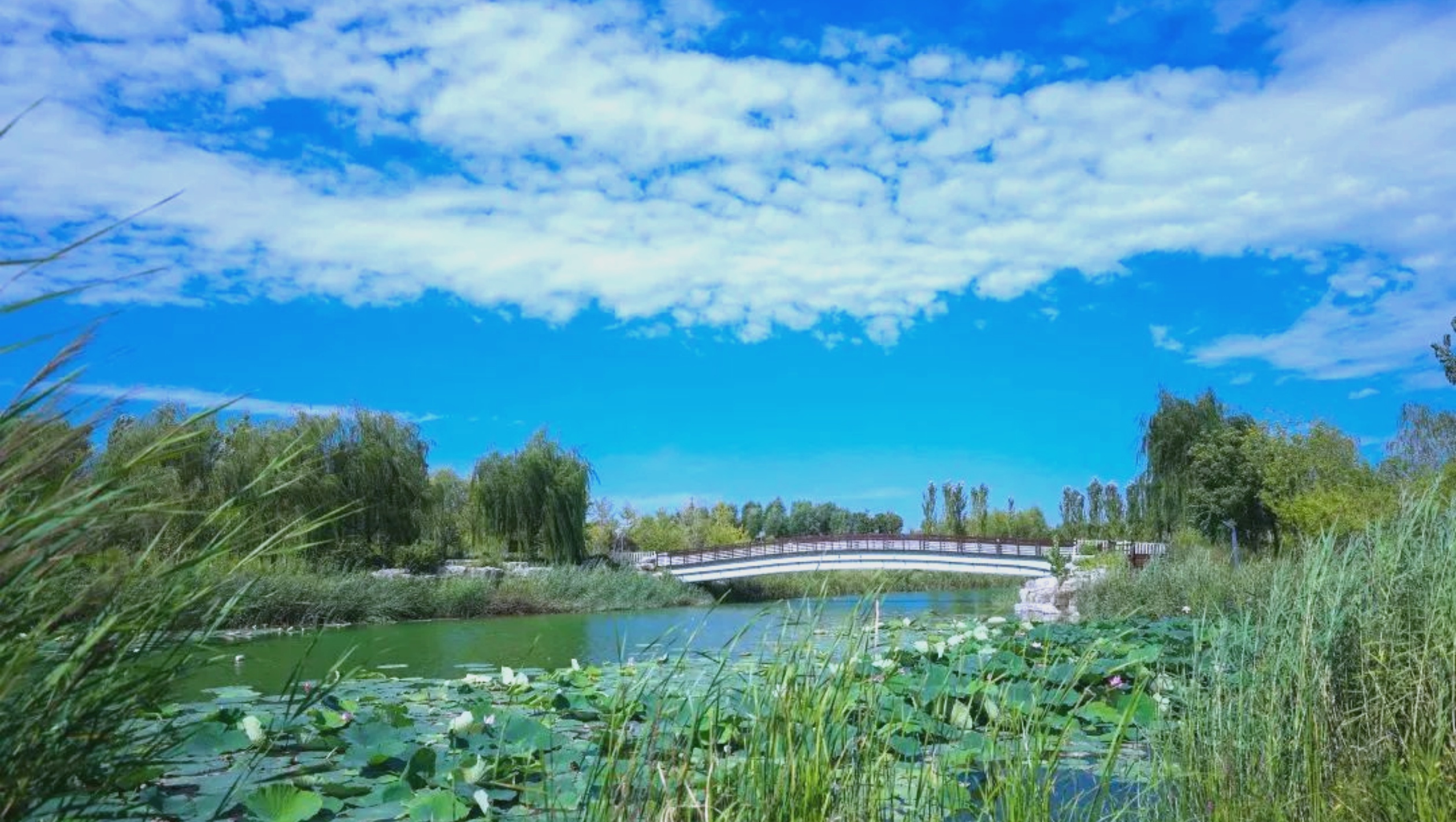 Xingwang Park